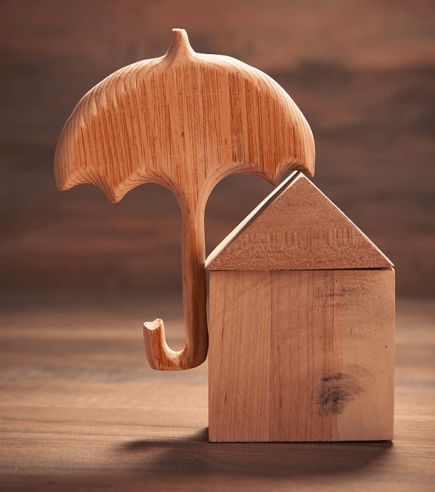 Wooden umbrella sheltering a wooden house